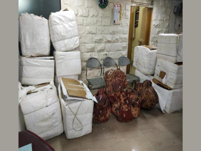 In case of red sandalwood smuggling, one arrested from Mira rod | रक्तचंदन तस्करी प्रकरणी एकास मीरारोडहून अटक In case of red sandalwood smuggling, one arrested from Mira rod | रक्तचंदन तस्करी प्रकरणी एकास मीरारोडहून अटक