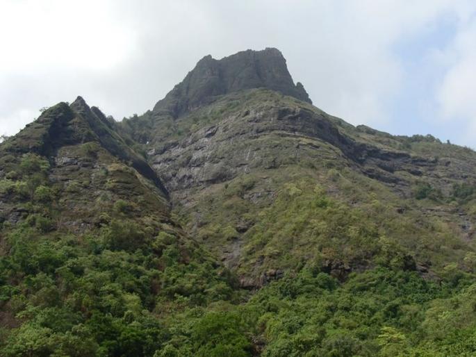 Rescue of four tourists stuck on 'Chanderi', went for trekking and forgot the road itself | ‘चंदेरी’वर अडकलेल्या चार पर्यटकांची सुटका, ट्रेकिंगसाठी गेले आणि रस्ताच विसरले