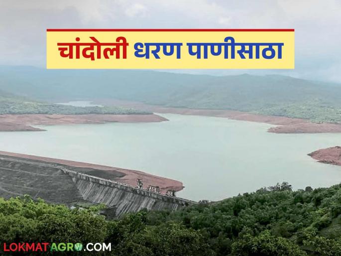 Chandoli Dam : How many TMCs has decreased in Chandoli Dam in 21 days; How much water is there at present? | Chandoli Dam : चांदोली धरणामध्ये २१ दिवसांमध्ये किती टीएमसीने घट; आजमितीला किती पाणीसाठा?