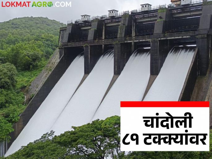 Chandoli 81.16 percent full; Water storage of major dams in Kolhapur, Sangli and Satara districts | चांदोली ८१.१६ टक्के भरले; कोल्हापूर, सांगली व सातारा जिल्ह्यातील प्रमुख धरणांचा पाणीसाठा Chandoli 81.16 percent full; Water storage of major dams in Kolhapur, Sangli and Satara districts | चांदोली ८१.१६ टक्के भरले; कोल्हापूर, सांगली व सातारा जिल्ह्यातील प्रमुख धरणांचा पाणीसाठा