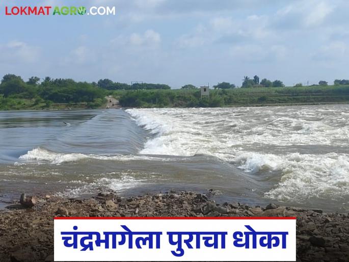 Total discharge of 1 lakh 34 thousand cusecs from Ujani and Veer dams; Flood risk increases in Chandrabhaga | उजनी व वीर धरणांतून एकूण १ लाख ३४ हजार क्युसेकचा विसर्ग; चंद्रभागेला पुराचा धोका वाढला