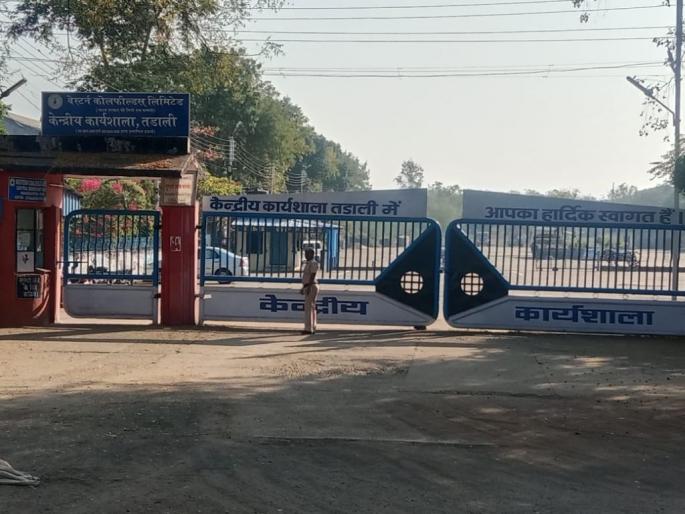tiger entered into the central workshop of WCL, terror among employees | बापरे ! वेकोलिच्या केंद्रीय कार्यशाळेत शिरला वाघोबा; कर्मचाऱ्यांमध्ये खळबळ tiger entered into the central workshop of WCL, terror among employees | बापरे ! वेकोलिच्या केंद्रीय कार्यशाळेत शिरला वाघोबा; कर्मचाऱ्यांमध्ये खळबळ