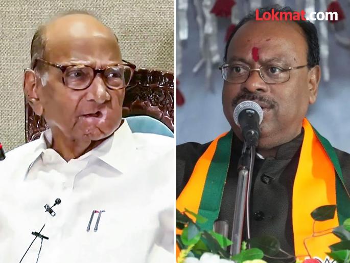 BJP leader Chandrashekhar Bawankule has criticized Sharad Pawar visit to Markadwadi | "...त्यामुळे शरद पवारांची धडपड सुरु आहे"; मारकवडीवरुन चंद्रशेखर बावनकुळेंचा आरोप BJP leader Chandrashekhar Bawankule has criticized Sharad Pawar visit to Markadwadi | "...त्यामुळे शरद पवारांची धडपड सुरु आहे"; मारकवडीवरुन चंद्रशेखर बावनकुळेंचा आरोप