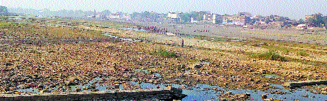 Chandrabhaga river in Pandharpur dry; Due to lack of bath, devotees disappointed | पंढरपुरातील चंद्रभागा नदी कोरडी; स्नान होत नसल्याने भाविक निराश Chandrabhaga river in Pandharpur dry; Due to lack of bath, devotees disappointed | पंढरपुरातील चंद्रभागा नदी कोरडी; स्नान होत नसल्याने भाविक निराश