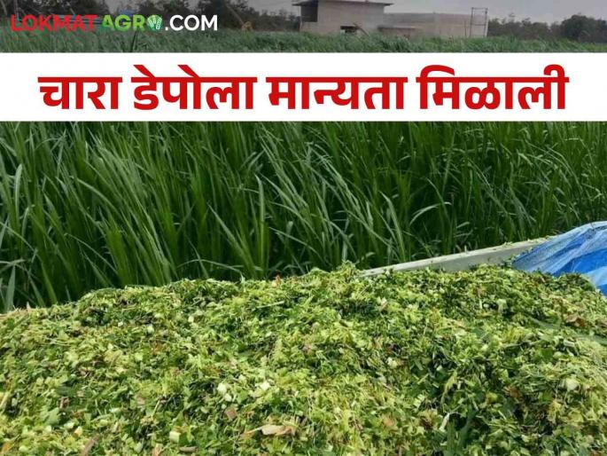 good news; Approval to open fodder depots in 1,245 revenue circles in the state | आनंदाची बातमी; राज्यात १,२४५ महसूली मंडळांमध्ये चारा डेपो उघडण्यास मान्यता