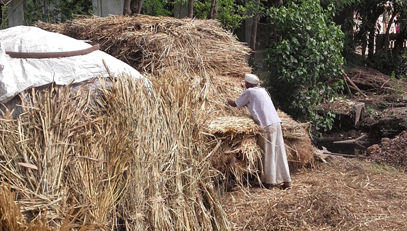 Confirmation by the administration of the organizations for fodder camps | चारा छावण्यांसाठी संस्थांची प्रशासनाकडून मनधरणी Confirmation by the administration of the organizations for fodder camps | चारा छावण्यांसाठी संस्थांची प्रशासनाकडून मनधरणी