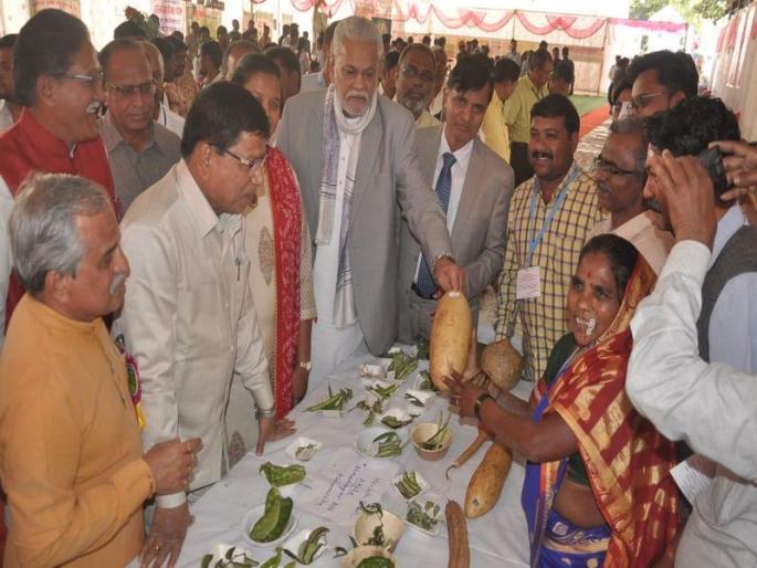 Draft of foreign companies due to agricultural revolution | कृषी क्रांतीमुळेच विदेशी कंपन्यांचा शिरकाव Draft of foreign companies due to agricultural revolution | कृषी क्रांतीमुळेच विदेशी कंपन्यांचा शिरकाव