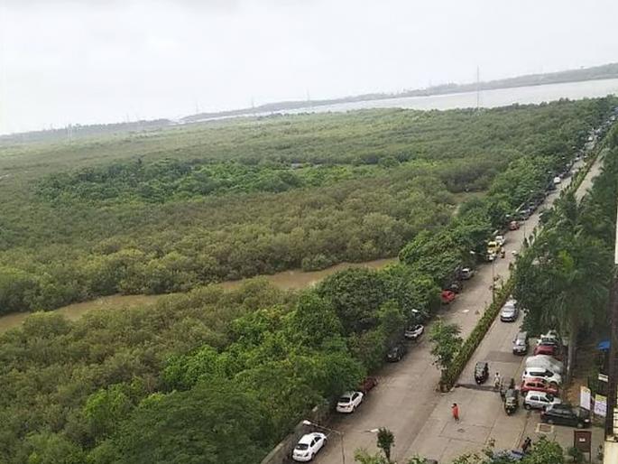 Due to Coastal Road expand More than 190 trees planted by locals in Kandivali Charkop Sector 8 is cutting | आमच्या प्रश्नाची उत्तरे द्या .. ! चारकोप विकास समितीकडून महापालिकेला पत्र Due to Coastal Road expand More than 190 trees planted by locals in Kandivali Charkop Sector 8 is cutting | आमच्या प्रश्नाची उत्तरे द्या .. ! चारकोप विकास समितीकडून महापालिकेला पत्र