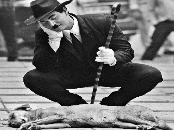 Everyone in Charlie's search | शोध प्रत्येकातल्या ‘चार्ली’चा ! Everyone in Charlie's search | शोध प्रत्येकातल्या ‘चार्ली’चा !