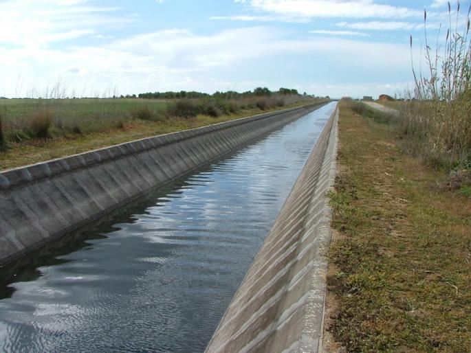 body of the missing youth of the village was found in Karandi pune latest news | Pune | चासकमान कालव्यात आढळला खेडच्या बेपत्ता युवकाचा मृतदेह body of the missing youth of the village was found in Karandi pune latest news | Pune | चासकमान कालव्यात आढळला खेडच्या बेपत्ता युवकाचा मृतदेह