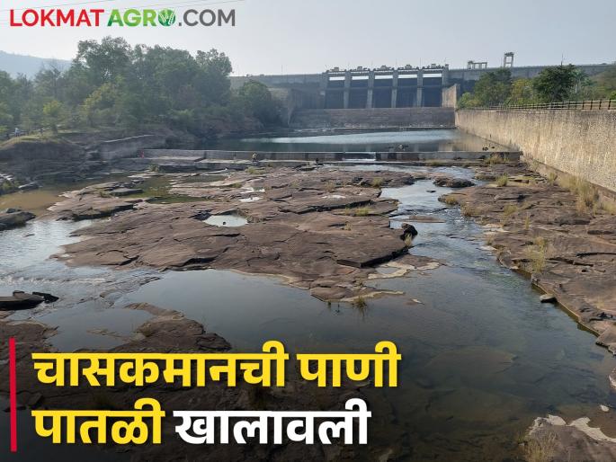 The amount of water left in the Chasakman Dam; Bhima river bed became dry | चासकमान धरणात उरला इतका पाणीसाठा; भीमा नदीपात्र पडले कोरडे The amount of water left in the Chasakman Dam; Bhima river bed became dry | चासकमान धरणात उरला इतका पाणीसाठा; भीमा नदीपात्र पडले कोरडे