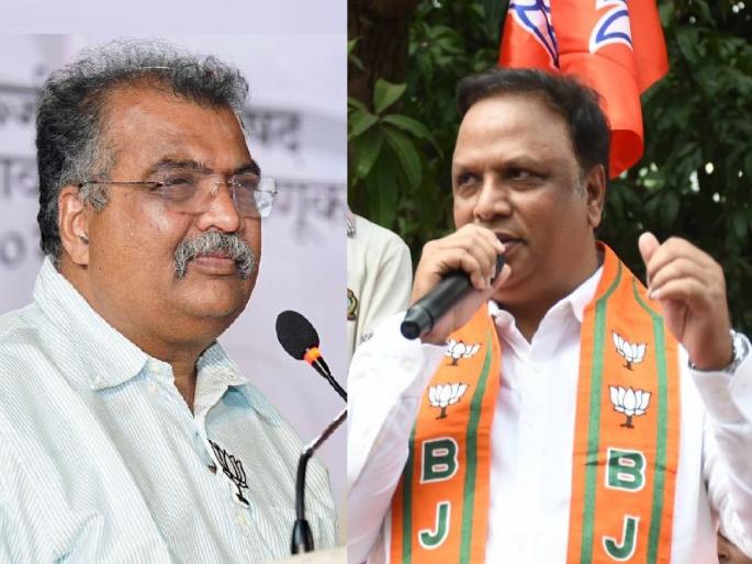 BJP will not tolerate false allegations against Ravindra Chavan says Ashish Shelar | रवींद्र चव्हाण यांच्यावरील खोटे आरोप भाजप सहन करणार नाही - आशिष शेलार