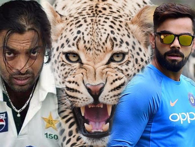 Chasing the target, Virat Kohli is the cheetah: Shoaib Akhtar | 'लक्ष्याचा पाठलाग करताना विराट कोहली म्हणजे चित्ता : शोएब अख्तर