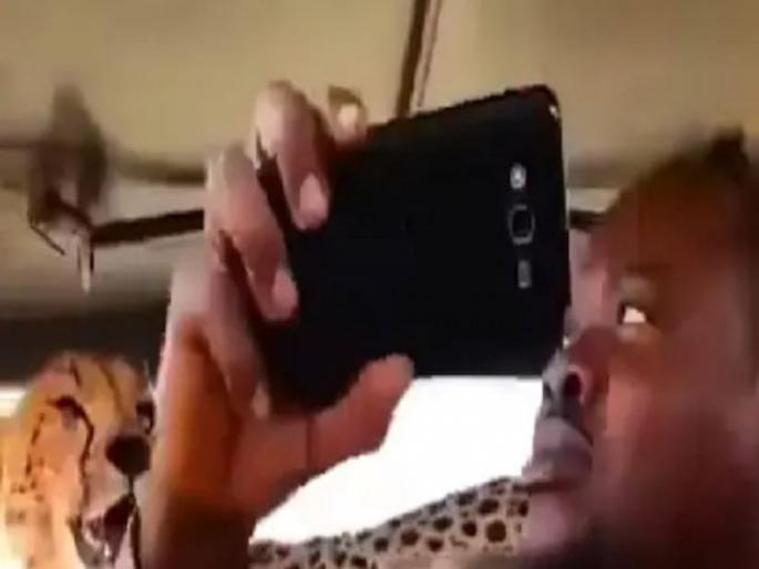 man take selfie with cheetah video goes viral on social media | चित्त्यासोबत या माणसाने असा काही सेल्फी घेतला जसा माकडासोबतच फोटो काढतोय अन् मग...