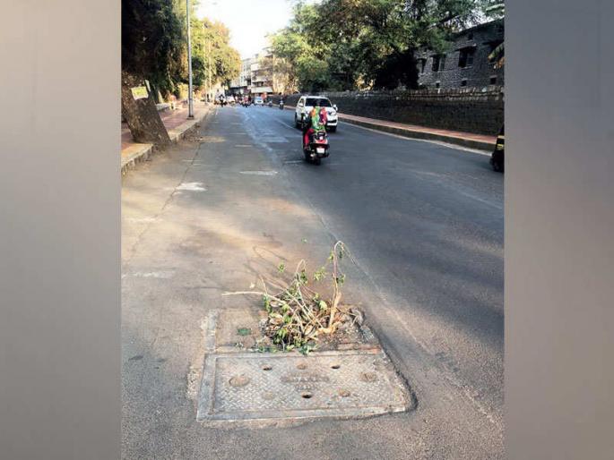 broken cover Poor quality nets chambers become dangerous Pune roads in bad condition | तुटलेली झाकणे; नित्कृष्ट दर्जाच्या जाळ्या, 'चेंबर बनले धोकादायक', पुण्यातील रस्ते बिकट अवस्थेत broken cover Poor quality nets chambers become dangerous Pune roads in bad condition | तुटलेली झाकणे; नित्कृष्ट दर्जाच्या जाळ्या, 'चेंबर बनले धोकादायक', पुण्यातील रस्ते बिकट अवस्थेत