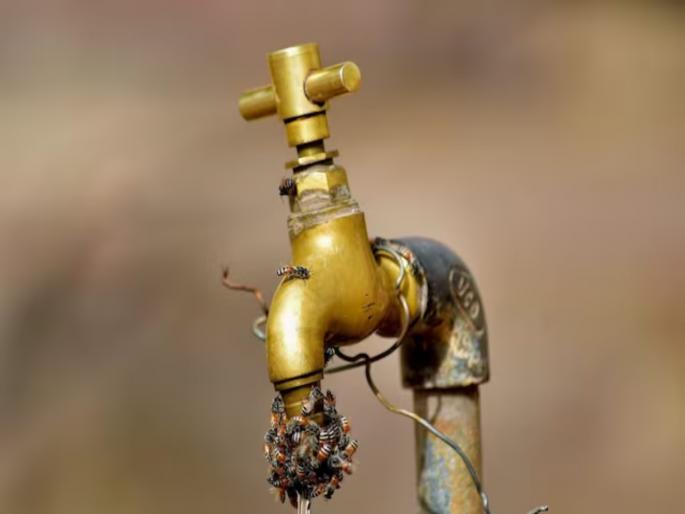 Mumbai News There is no water in Chembur Govandi for two days | चेंबूर, गोवंडीत दोन दिवस पाणी नाही; महापालिकेने केले आवाहन Mumbai News There is no water in Chembur Govandi for two days | चेंबूर, गोवंडीत दोन दिवस पाणी नाही; महापालिकेने केले आवाहन