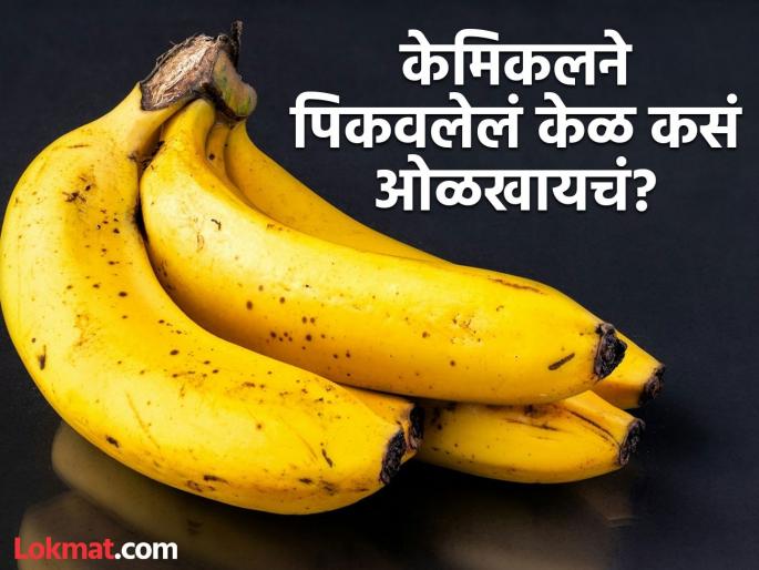 How to identify that banana is ripe with carbide chemical | केळ केमिकलने पिकवलंय की नॅचरली पिकलंय कसं ओळखाल? पोटात विष जाण्याआधी वाचा सोप्या टिप्स! How to identify that banana is ripe with carbide chemical | केळ केमिकलने पिकवलंय की नॅचरली पिकलंय कसं ओळखाल? पोटात विष जाण्याआधी वाचा सोप्या टिप्स!