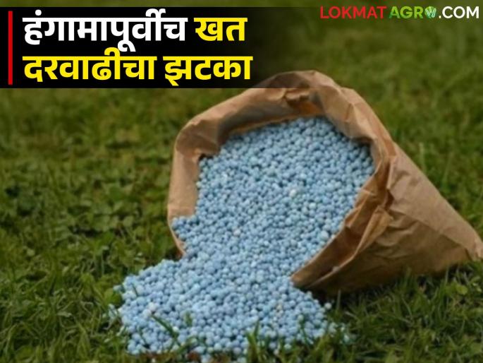 Chemical Fertilizer: latest news A blow before the season; Fertilizer price hike will hit the market Read in detail | Chemical Fertilizer: हंगामापूर्वीच झटका; खत दरवाढीचा बसणार फटका वाचा सविस्तर Chemical Fertilizer: latest news A blow before the season; Fertilizer price hike will hit the market Read in detail | Chemical Fertilizer: हंगामापूर्वीच झटका; खत दरवाढीचा बसणार फटका वाचा सविस्तर