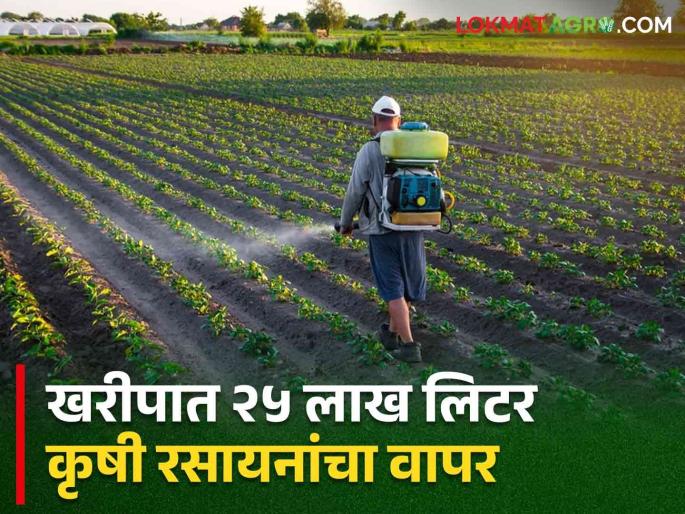 25 lakh liters of 'Pesticide', 'Vidicide' are being used in Kharif; How will the quality of the land last? | खरिपात वापरले जातेय २५ लाख लिटर 'पेस्टीसाईड', 'विडीसाईड'; जमिनीचा दर्जा टिकणार कसा? 25 lakh liters of 'Pesticide', 'Vidicide' are being used in Kharif; How will the quality of the land last? | खरिपात वापरले जातेय २५ लाख लिटर 'पेस्टीसाईड', 'विडीसाईड'; जमिनीचा दर्जा टिकणार कसा?