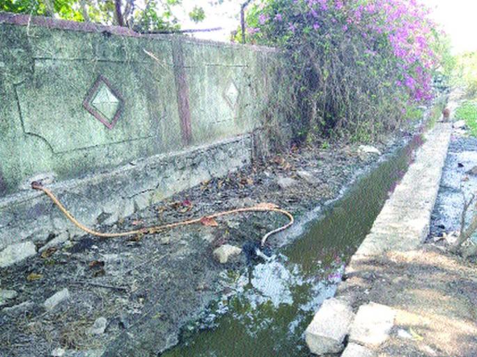 After the complaints of District Collectorate, the administration works in the direct drain of chemical water | रासायनिक पाणी थेट नाल्यात, जिल्हाधिकारी कार्यालयाच्या तक्रारीनंतर प्रशासन कामाला After the complaints of District Collectorate, the administration works in the direct drain of chemical water | रासायनिक पाणी थेट नाल्यात, जिल्हाधिकारी कार्यालयाच्या तक्रारीनंतर प्रशासन कामाला