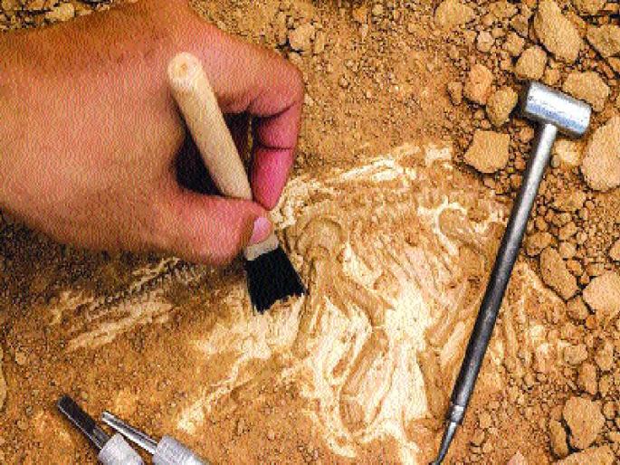 57 gold coins found in Chhattisgarh, found in roadshow | छत्तीसगडमध्ये सापडल्या ५७ सुवर्णमुद्रा, रस्तेकामात आढळला हंडा 57 gold coins found in Chhattisgarh, found in roadshow | छत्तीसगडमध्ये सापडल्या ५७ सुवर्णमुद्रा, रस्तेकामात आढळला हंडा