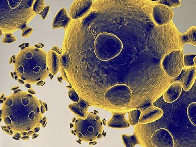 CoronaVirus in Nagpur: Chain of infection after 16 infected patients break | CoronaVirus in Nagpur : १६ बाधित रुग्णांनंतर लागणची साखळी खंडित CoronaVirus in Nagpur: Chain of infection after 16 infected patients break | CoronaVirus in Nagpur : १६ बाधित रुग्णांनंतर लागणची साखळी खंडित