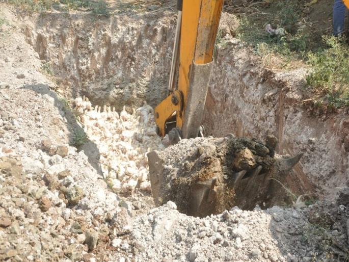 chicken dumping case was fake in Aundha Nagntha; cheating for getting grant | कोंबड्या गाडण्याची स्टंटबाजी आली अंगलट; अनुदान लाटण्यापुरते नाटक असल्याचे झाले उघड 