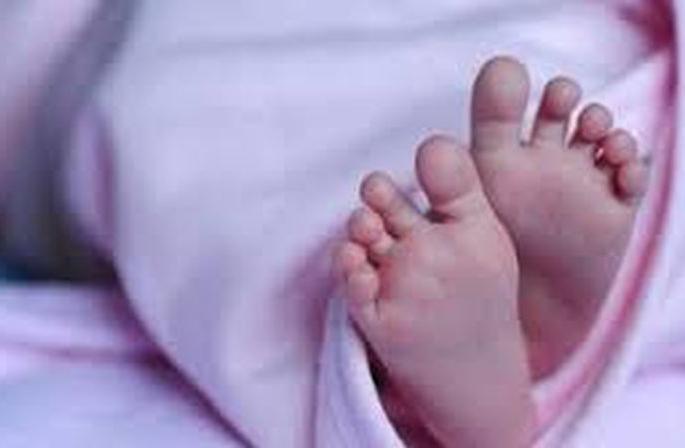 791 children die in Buldana district due to neglect | दुर्लक्षामुळे बुलडाणा जिल्ह्यात ७९१ बालकांचा मृत्यू 791 children die in Buldana district due to neglect | दुर्लक्षामुळे बुलडाणा जिल्ह्यात ७९१ बालकांचा मृत्यू