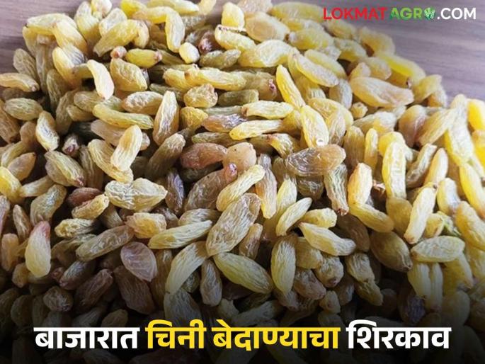 With 60,000 tones of raisins remaining in the state, Chinese raisins have increased farmers tension | राज्यात तब्बल ६० हजार टन बेदाणा शिल्लक असताना चिनी बेदाण्याने वाढवले शेतकऱ्यांचे टेन्शन
