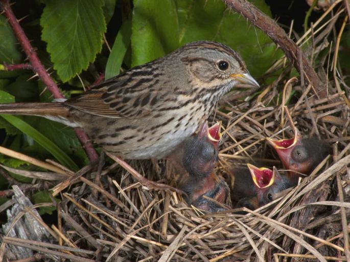 When all efforts are over, put your burden on God and relax! | ज्यावेळी सगळे प्रयत्न संपतात, तेव्हा देवावर भार टाकून निश्चिंत व्हा! When all efforts are over, put your burden on God and relax! | ज्यावेळी सगळे प्रयत्न संपतात, तेव्हा देवावर भार टाकून निश्चिंत व्हा!