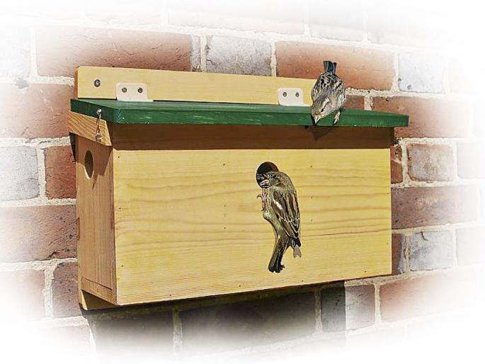 Children's extraordinary experiment to save birds.. | चिवचिवाट! Children's extraordinary experiment to save birds.. | चिवचिवाट!