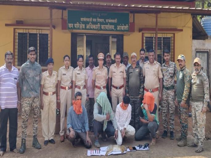 Poachers open fire on a forest department team in the forest at Choukul in Sindhudurg | Sindhudurg Crime: शिकाऱ्यांकडून वनविभाग पथकावर गोळीबार, चौकुळ येथील जंगलात मध्यरात्री घडली चकमक Poachers open fire on a forest department team in the forest at Choukul in Sindhudurg | Sindhudurg Crime: शिकाऱ्यांकडून वनविभाग पथकावर गोळीबार, चौकुळ येथील जंगलात मध्यरात्री घडली चकमक