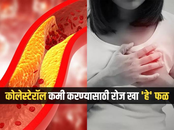 Study says apple can reduce high cholesterol from your body | रोज ‘हे’ फळ खा, बॅड कोलेस्टेरॉलला दूर ठेवा, उपाय अगदी सोपा पण हार्ट ॲटॅकचा टळतो धोका