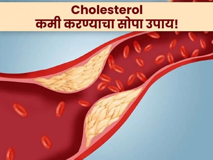 Curd with sabja seeds for bad fat triglycerides | कोलेस्टेरॉल कमी करण्यासाठी 'असं' करा दह्याचं सेवन, लगेच दूर होईल समस्या! Curd with sabja seeds for bad fat triglycerides | कोलेस्टेरॉल कमी करण्यासाठी 'असं' करा दह्याचं सेवन, लगेच दूर होईल समस्या!