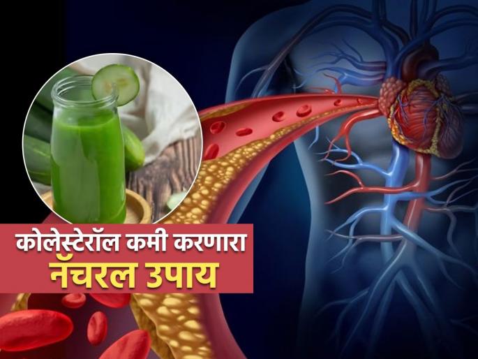Healthy drink to reduce high cholesterol know recipe and time to have this | ना वाढेल कोलेस्टेरॉल, ना येईल हार्ट अ‍ॅटॅक; फक्त रोज प्यावा लागेल हा खास ज्यूस; वाचा कसा बनवाल