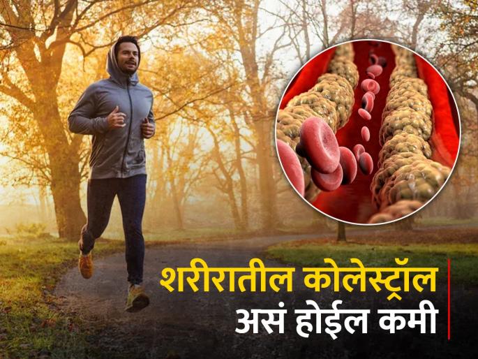 Check cholesterol level in your body these are special measures to reduce learn easy ways to reduce bad cholesterol without medicine | तुमच्या शरीरात कोलेस्टेरॉलची पातळी काय? 'हे' आहेत कमी करण्याचे खास उपाय, जाणून घ्या Check cholesterol level in your body these are special measures to reduce learn easy ways to reduce bad cholesterol without medicine | तुमच्या शरीरात कोलेस्टेरॉलची पातळी काय? 'हे' आहेत कमी करण्याचे खास उपाय, जाणून घ्या