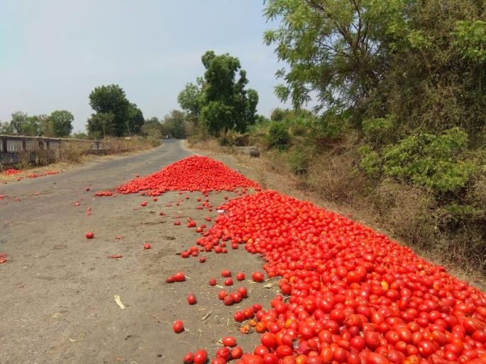 Tomato red mud on the Chopda road | चोपडा रस्त्यावर टोमॅटोचा लाल चिखल Tomato red mud on the Chopda road | चोपडा रस्त्यावर टोमॅटोचा लाल चिखल