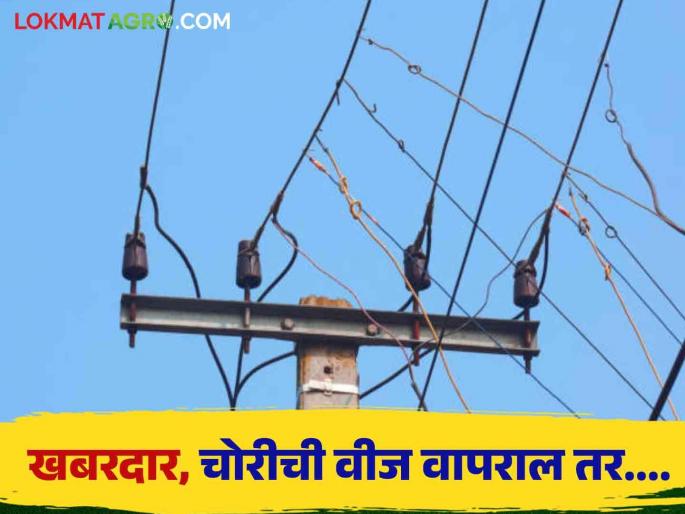 Latest News Agriculture News light is left in agricultural area, action will be taken by Mahavitran | Agriculture News : वीज चोरी करून शेतीच्या कुंपणात वीज प्रवाह सोडल्यास कारवाई, महावितरणचा इशारा  Latest News Agriculture News light is left in agricultural area, action will be taken by Mahavitran | Agriculture News : वीज चोरी करून शेतीच्या कुंपणात वीज प्रवाह सोडल्यास कारवाई, महावितरणचा इशारा