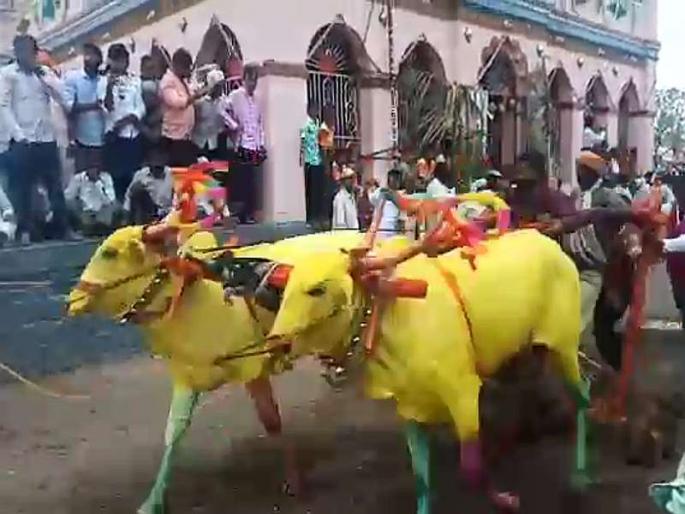 Video: Farmers come from 3 states to see Chalgolan belpolls and other carnivals. | Video : सलगरचा बैलपोळा, आगळीवेगळी कारहुणवी पाहायला 3 राज्यांतून येतात शेतकरी
