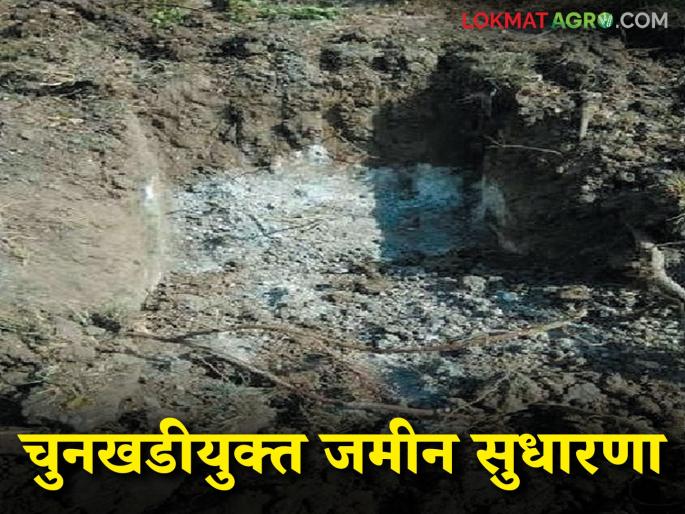 Chunkhadi Jamin : How to improve calcareous soil? These are the easy solutions | Chunkhadi Jamin : चुनखडीयुक्त जमिनीची सुधारणा कशी कराल? करा हे सोपे उपाय Chunkhadi Jamin : How to improve calcareous soil? These are the easy solutions | Chunkhadi Jamin : चुनखडीयुक्त जमिनीची सुधारणा कशी कराल? करा हे सोपे उपाय
