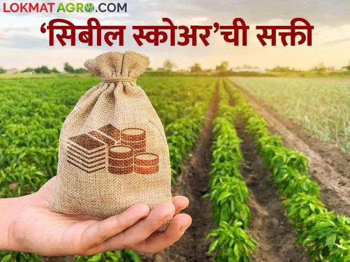 Pik Karj: Farmers will now get crop loan without 'CIBIL' | Pik Karj शेतकऱ्यांना मिळणार आता 'सिबील' शिवाय पीककर्ज Pik Karj: Farmers will now get crop loan without 'CIBIL' | Pik Karj शेतकऱ्यांना मिळणार आता 'सिबील' शिवाय पीककर्ज