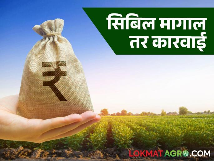 Pik Karj Vatap : Now loans will be disbursed to farmers in the state without making CIBIL a condition | Pik Karj Vatap : राज्यात आता शेतकऱ्यांना सिबिलची अट न लावता कर्जवाटप होणार