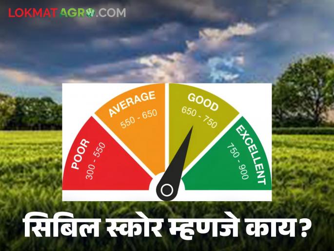 CIBIL Score : How much your CIBIL score is required so that the bank will give you a loan Read in detail | CIBIL Score : तुमचा सिबिल स्कोर किती हवा म्हणजे बँक तुम्हाला कर्ज देईल वाचा सविस्तर CIBIL Score : How much your CIBIL score is required so that the bank will give you a loan Read in detail | CIBIL Score : तुमचा सिबिल स्कोर किती हवा म्हणजे बँक तुम्हाला कर्ज देईल वाचा सविस्तर