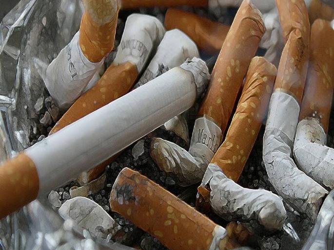 1.35 lakh Indians die every year due to cigarettes; Advice to find alternatives to nicotine | सिगारेटमुळे दरवर्षी १३.५ लाख भारतीयांचा मृत्यू; निकोटीनला पर्याय शोधण्याचा सल्ला 1.35 lakh Indians die every year due to cigarettes; Advice to find alternatives to nicotine | सिगारेटमुळे दरवर्षी १३.५ लाख भारतीयांचा मृत्यू; निकोटीनला पर्याय शोधण्याचा सल्ला