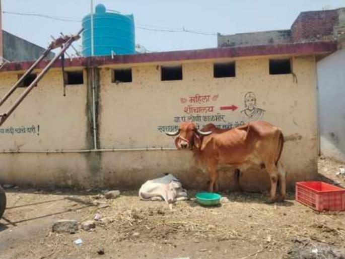 There is a toilet in the Loni Kalbhor area, and it is not a problem but a delay. | लोणी काळभोरमध्ये 'हगणदारीमुक्ती'चा फज्जा; सार्वजनिक स्वच्छतागृह 'असून अडचण नसून खोळंबा' There is a toilet in the Loni Kalbhor area, and it is not a problem but a delay. | लोणी काळभोरमध्ये 'हगणदारीमुक्ती'चा फज्जा; सार्वजनिक स्वच्छतागृह 'असून अडचण नसून खोळंबा'