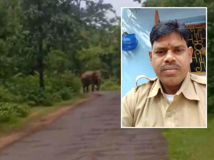 50 lakhs help to the family of forest martyr Sudhakar Atram, initiative of Forest Minister Sudhir Mungantiwar | वन शहीद आत्राम यांच्या कुटुंबाला ५० लक्षांची मदत, वनमंत्र्यांच्या संवेदनशीलतेने भारावले कर्मचारी 50 lakhs help to the family of forest martyr Sudhakar Atram, initiative of Forest Minister Sudhir Mungantiwar | वन शहीद आत्राम यांच्या कुटुंबाला ५० लक्षांची मदत, वनमंत्र्यांच्या संवेदनशीलतेने भारावले कर्मचारी