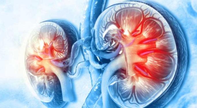 World Kidney Day; Kidney disease in 100 out of 1 million children | जागतिक मूत्रपिंड दिन; दहा लाख मुलांमध्ये १०० मुलांना मूत्रपिंडाचा विकार