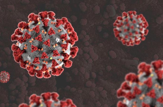 CoronaVirus in Akola: Addition of 84 more positive patients | CoronaVirus in Akola : आणखी ८४ पॉझिटिव्ह रुग्णांची भर CoronaVirus in Akola: Addition of 84 more positive patients | CoronaVirus in Akola : आणखी ८४ पॉझिटिव्ह रुग्णांची भर