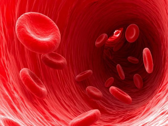 5 home remedies food to detox and clean blood | आहारातील 'हे' 5 पदार्थ रक्त शुद्ध करण्यासाठी करतात मदत 5 home remedies food to detox and clean blood | आहारातील 'हे' 5 पदार्थ रक्त शुद्ध करण्यासाठी करतात मदत