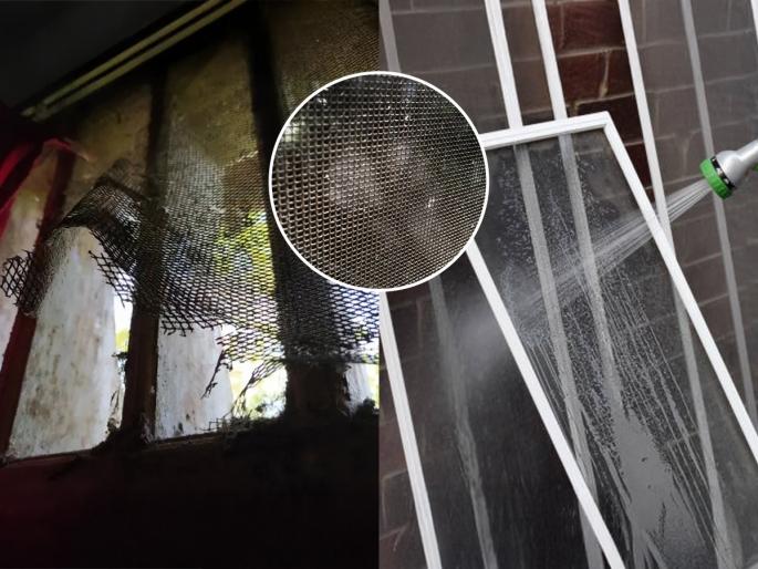5 tips to clean windows, clean sticky dirt from window nets easy tips | पावसामुळे फुगलेल्या खिडक्या - दरवाजाच्या कळकट जाळ्या साफ करण्यासाठी ५ टिप्स, जाळ्या स्वच्छ होतील काही मिनिटांत